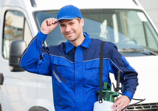 Inspections Services